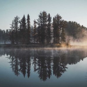 «Закопанное богатство». Сатирический рассказ