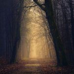 Тьма или свет. Что нас ожидает в будущем?